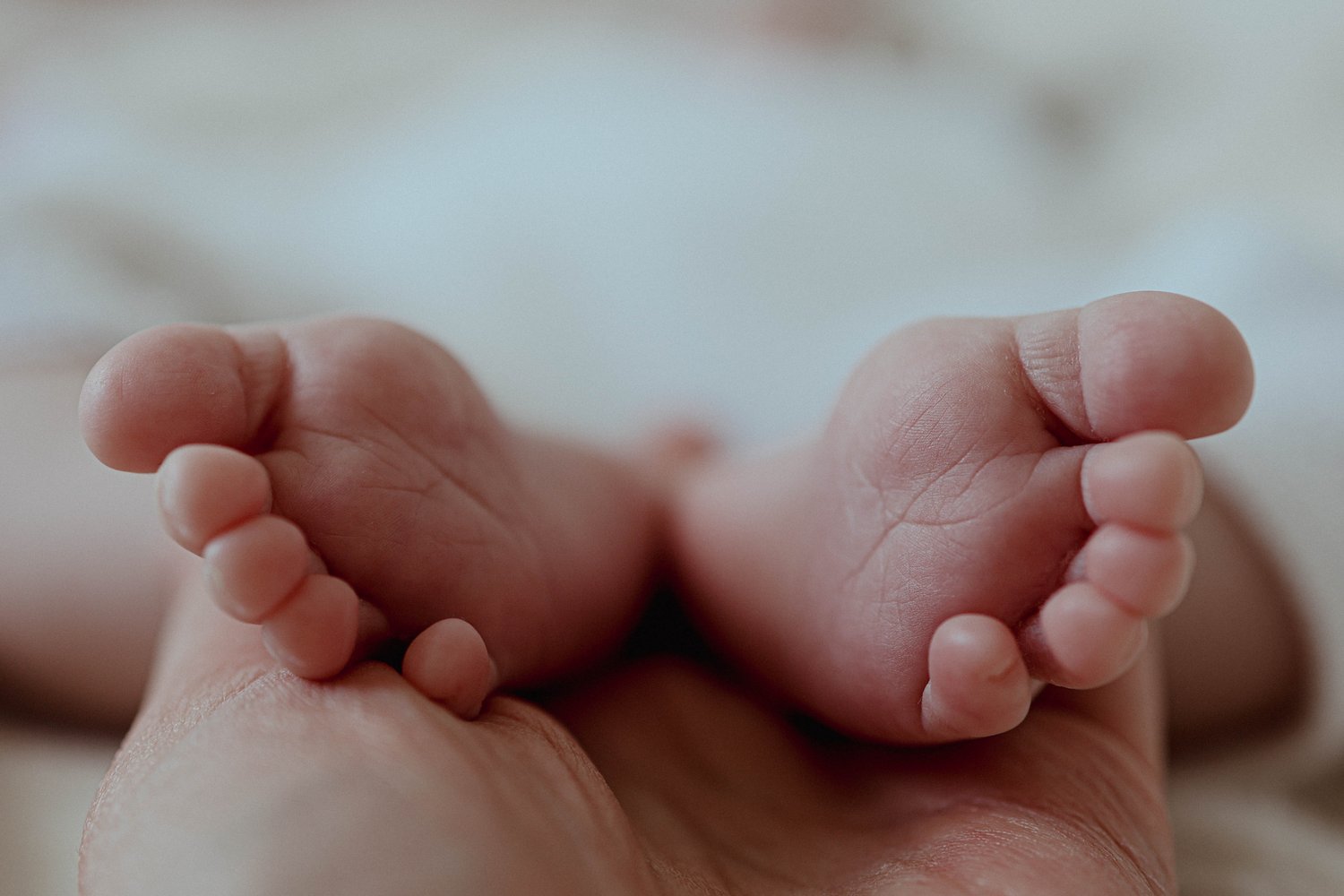 Naissance — petits pieds du nouveau-né